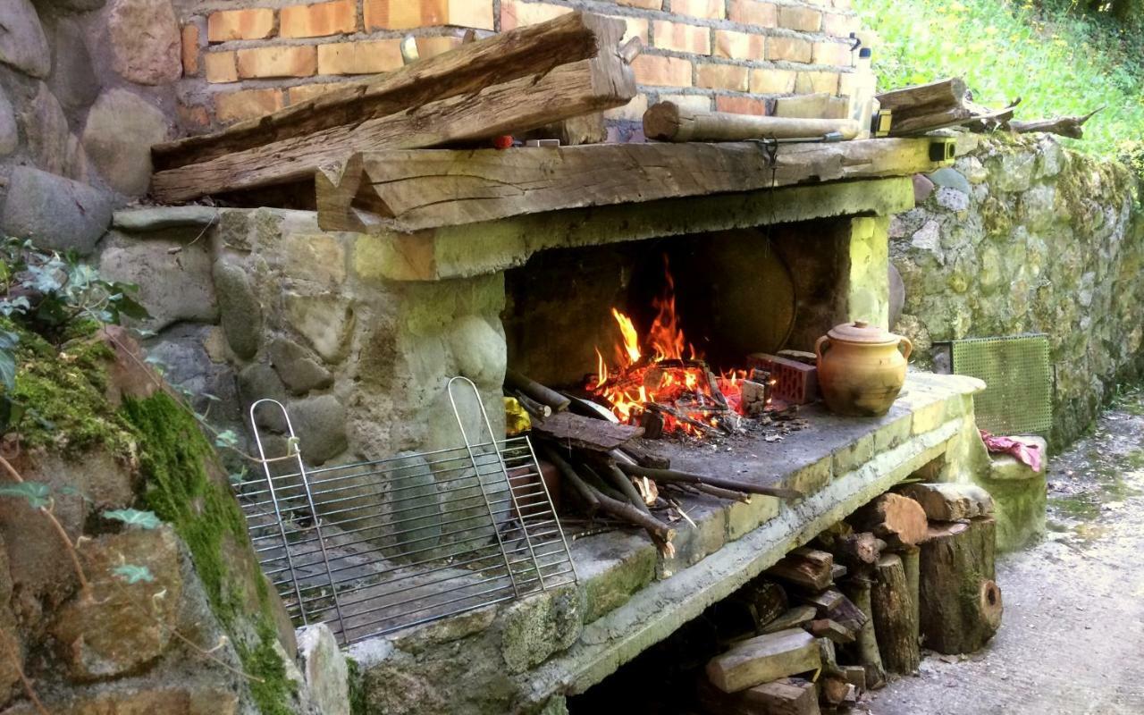 Willa Etno-Kuca "Leka" Klisura Despotovac Zewnętrze zdjęcie
